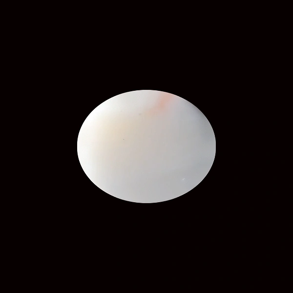 White Coral - 5.84 carats
